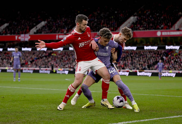 非决定性因 非决定性因